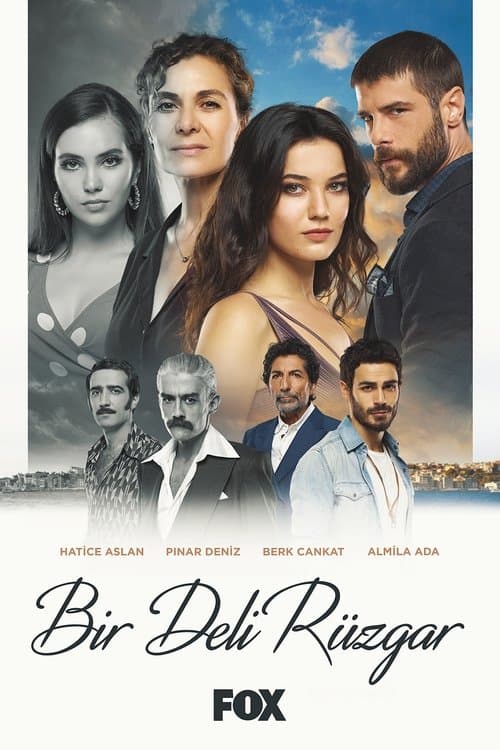Bir Deli Rüzgarのポスター