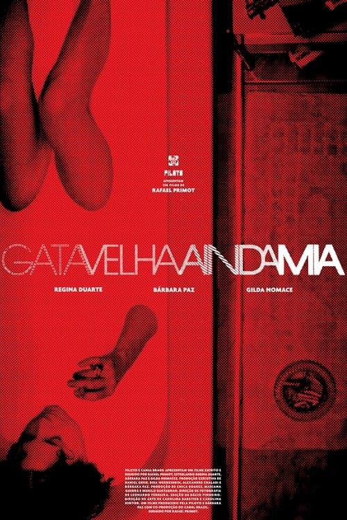 Gata Velha Ainda Miaのポスター