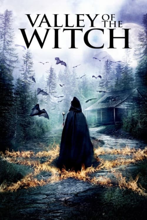 Valley of the Witchのポスター
