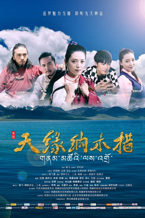 天缘纳木措のポスター