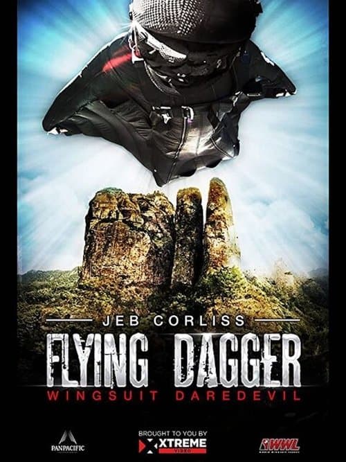 Flying Daggerのポスター