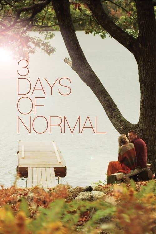 3 Days of Normalのポスター
