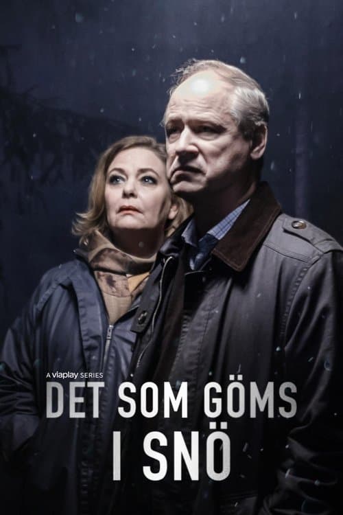 Det som göms i snöのポスター