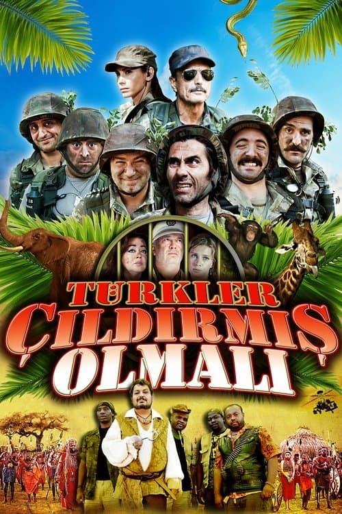 Türkler Çıldırmış Olmalıのポスター