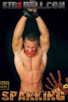 Spanking 45のポスター
