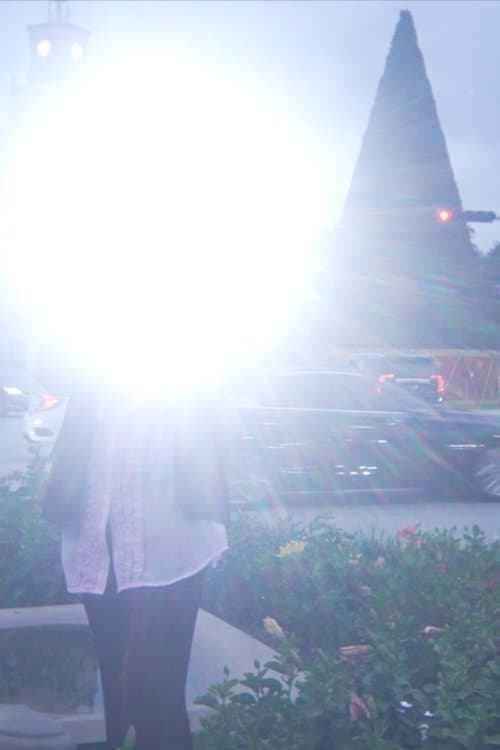 Blue Mirrorのポスター