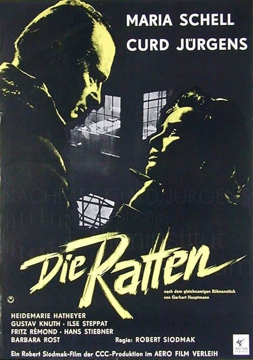 Die Rattenのポスター