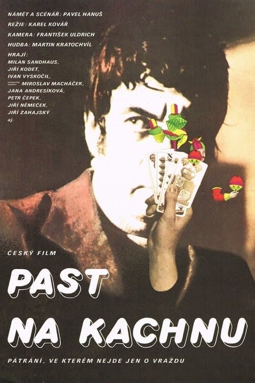 Past na kachnuのポスター