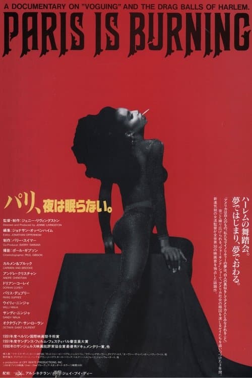 パリ、夜は眠らない。のポスター