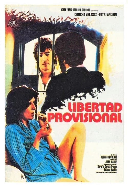 Libertad provisionalのポスター