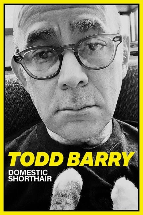 Todd Barry: Domestic Shorthairのポスター
