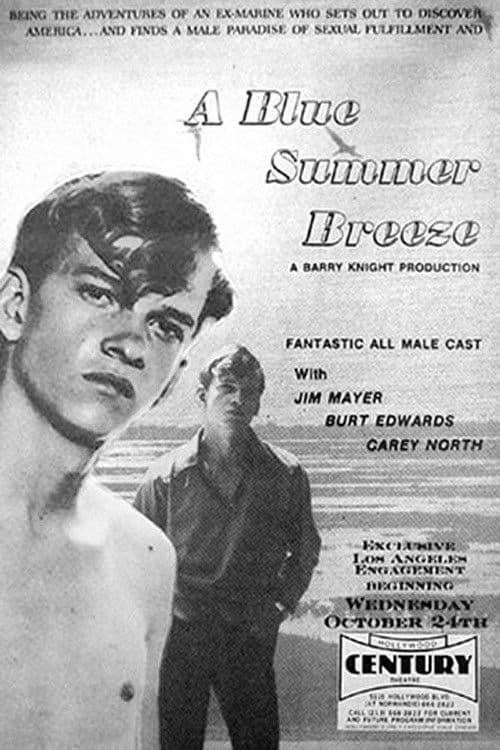 Blue Summer Breezeのポスター