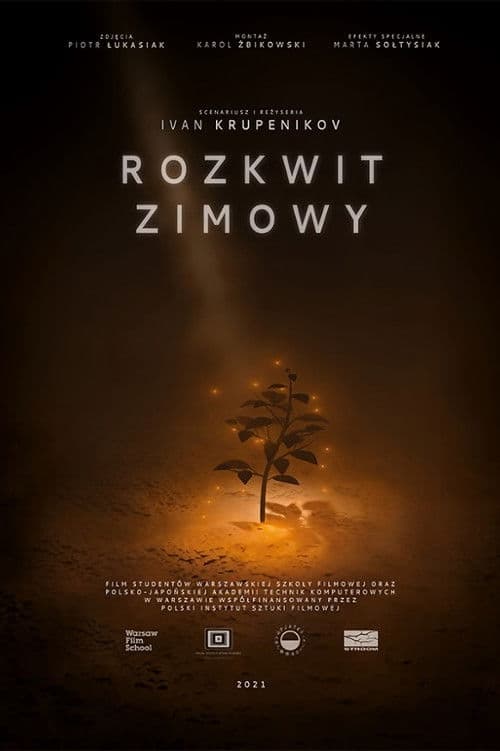 Rozkwit zimowyのポスター