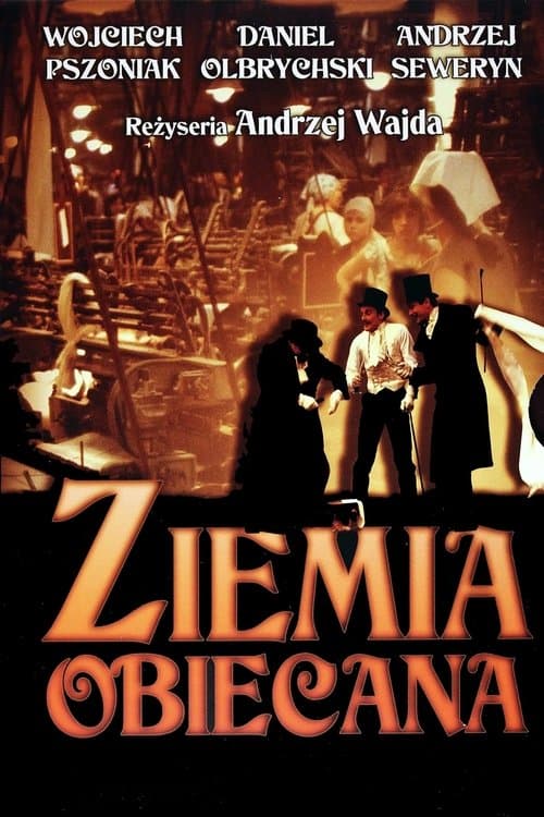 Ziemia obiecanaのポスター