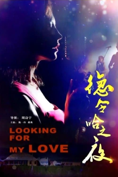 Delhi Nightのポスター