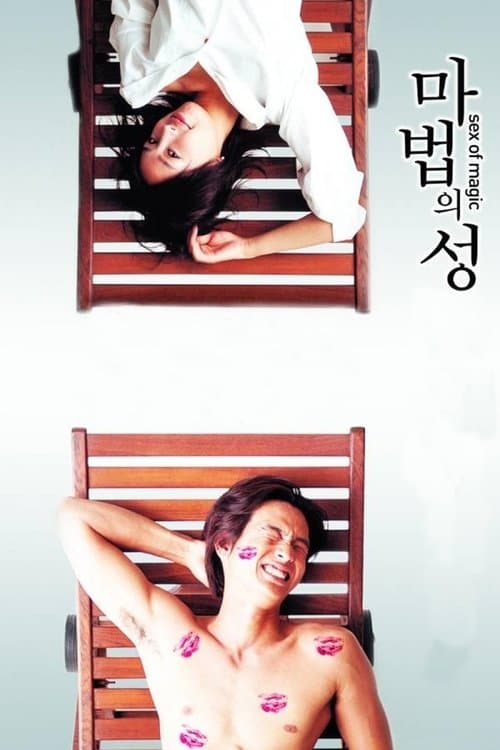 마법의 성のポスター