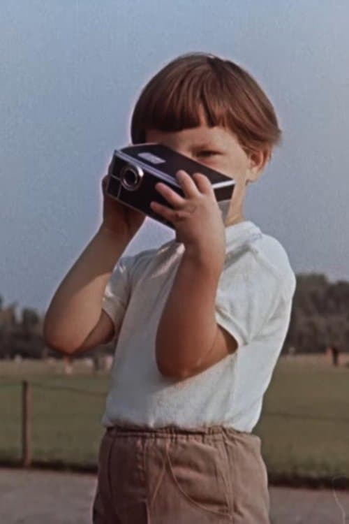 Sommer, Sonne, AK 8のポスター