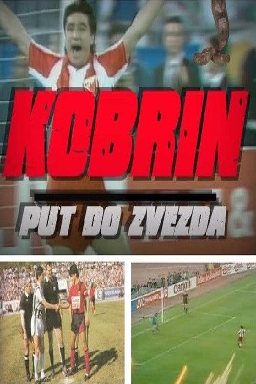 Kobrin put do zvezdaのポスター