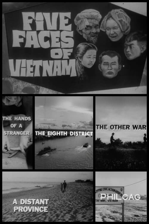 Five Faces of Vietnamのポスター