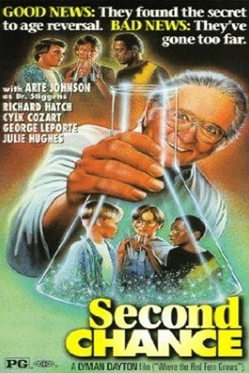 Second Chanceのポスター