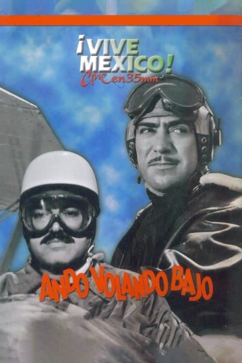Ando volando bajoのポスター