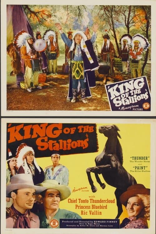 King of the Stallionsのポスター