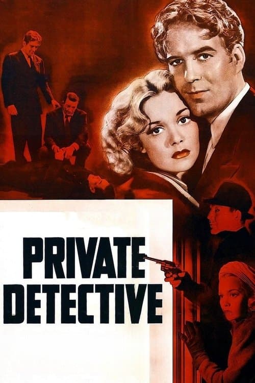 Private Detectiveのポスター