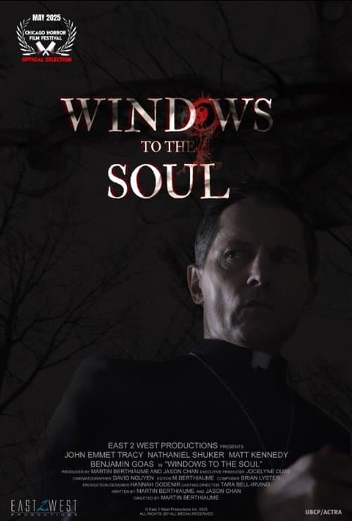 Windows to the Soulのポスター