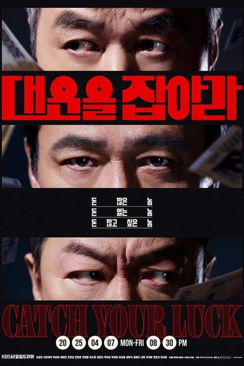 대운을 잡아라のポスター