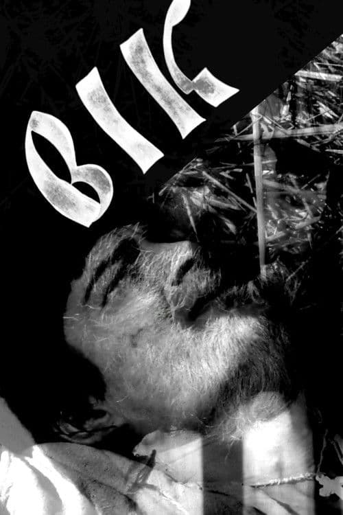 Вікのポスター