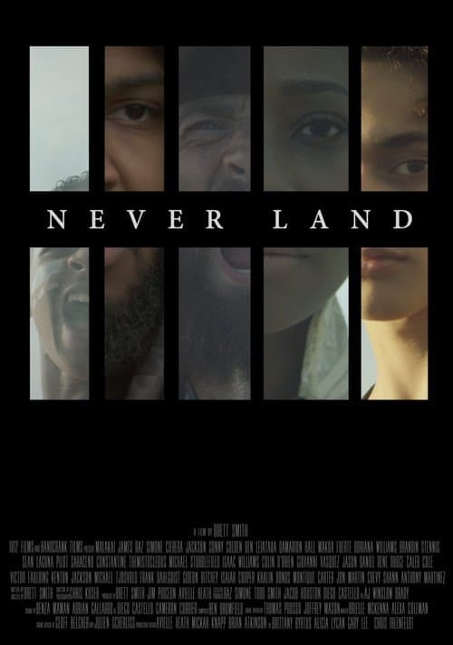 Never Landのポスター