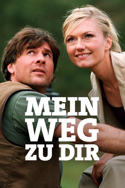 Mein Weg zu Dirのポスター