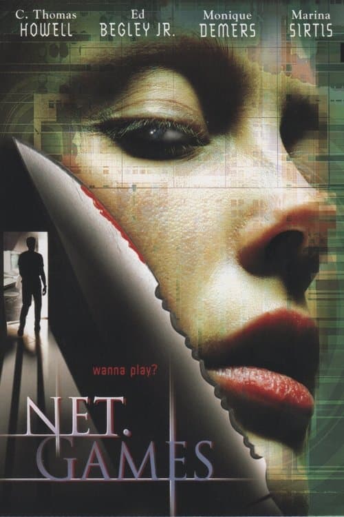 Net Gamesのポスター