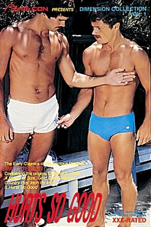 Hurts So Goodのポスター