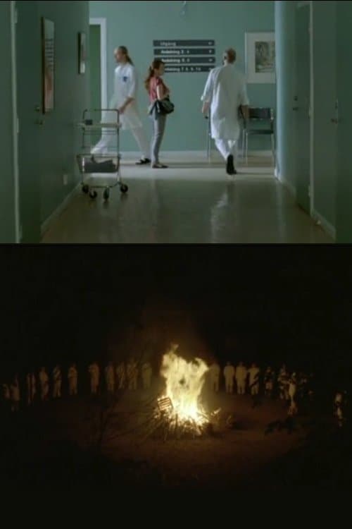 Valborgのポスター