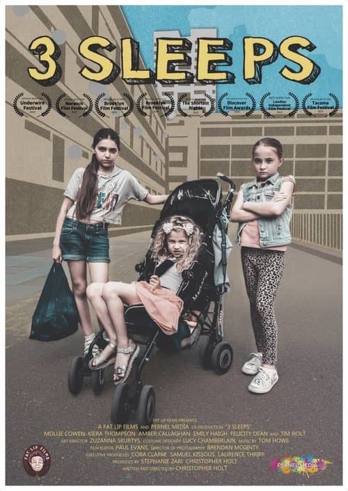 3 Sleepsのポスター