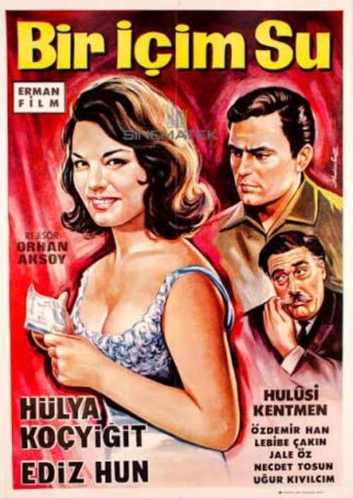 Bir İçim Suのポスター