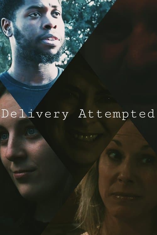 Delivery Attemptedのポスター