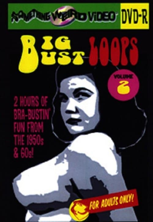 Big Bust Loops Volume 2のポスター