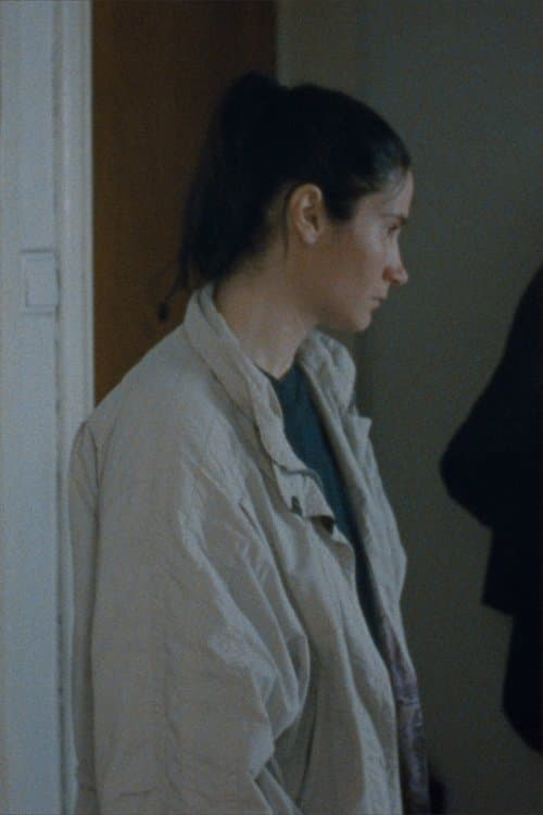 Fragments of Gabiのポスター