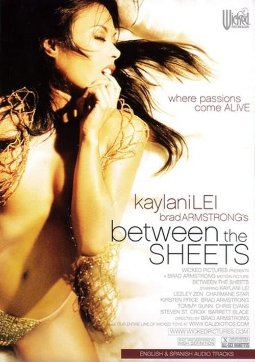 Between the Sheetsのポスター