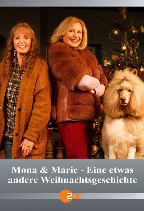 Mona & Marie - Eine etwas andere Weihnachtsgeschichteのポスター