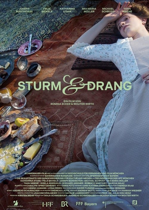 Sturm & Drangのポスター