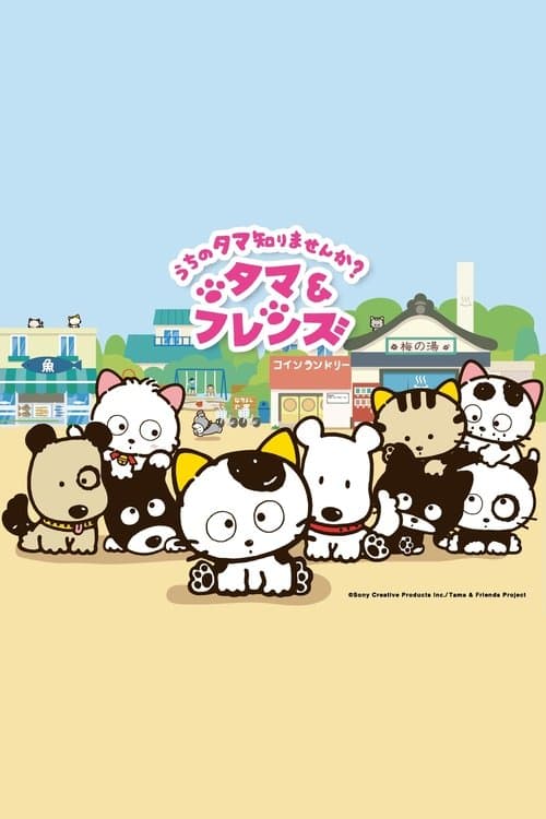 タマ&フレンズ うちのタマ知りませんか?のポスター