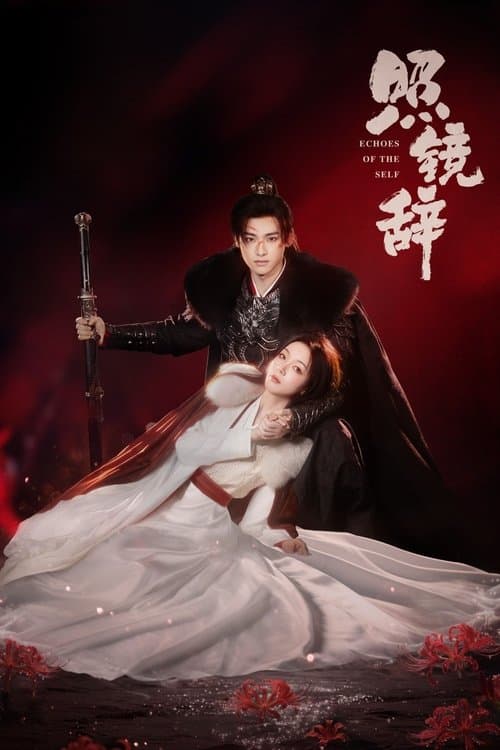 照鏡辞〜己の残響〜のポスター