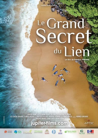 Le Grand Secret du lienのポスター