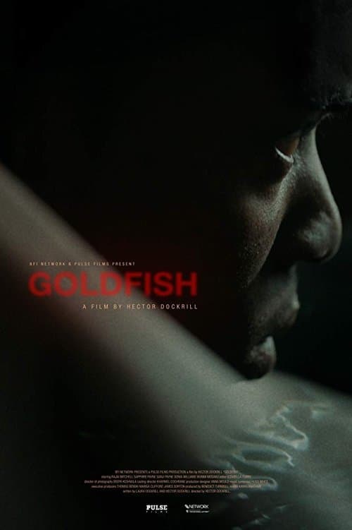 Goldfishのポスター