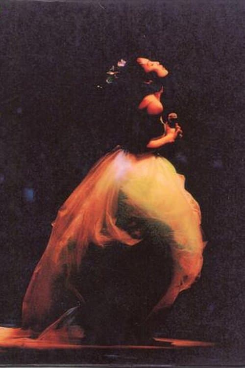 彭羚：1996完全因你演唱会のポスター