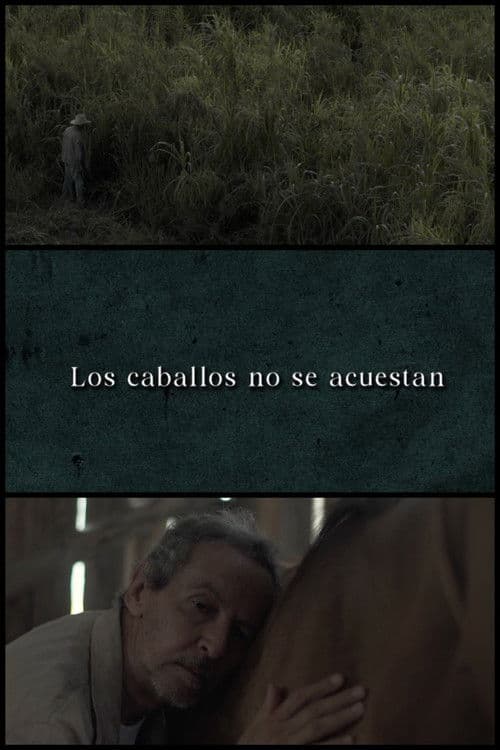 Los caballos no se acuestanのポスター