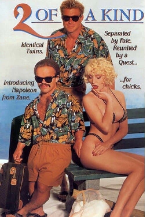 2 of a Kindのポスター